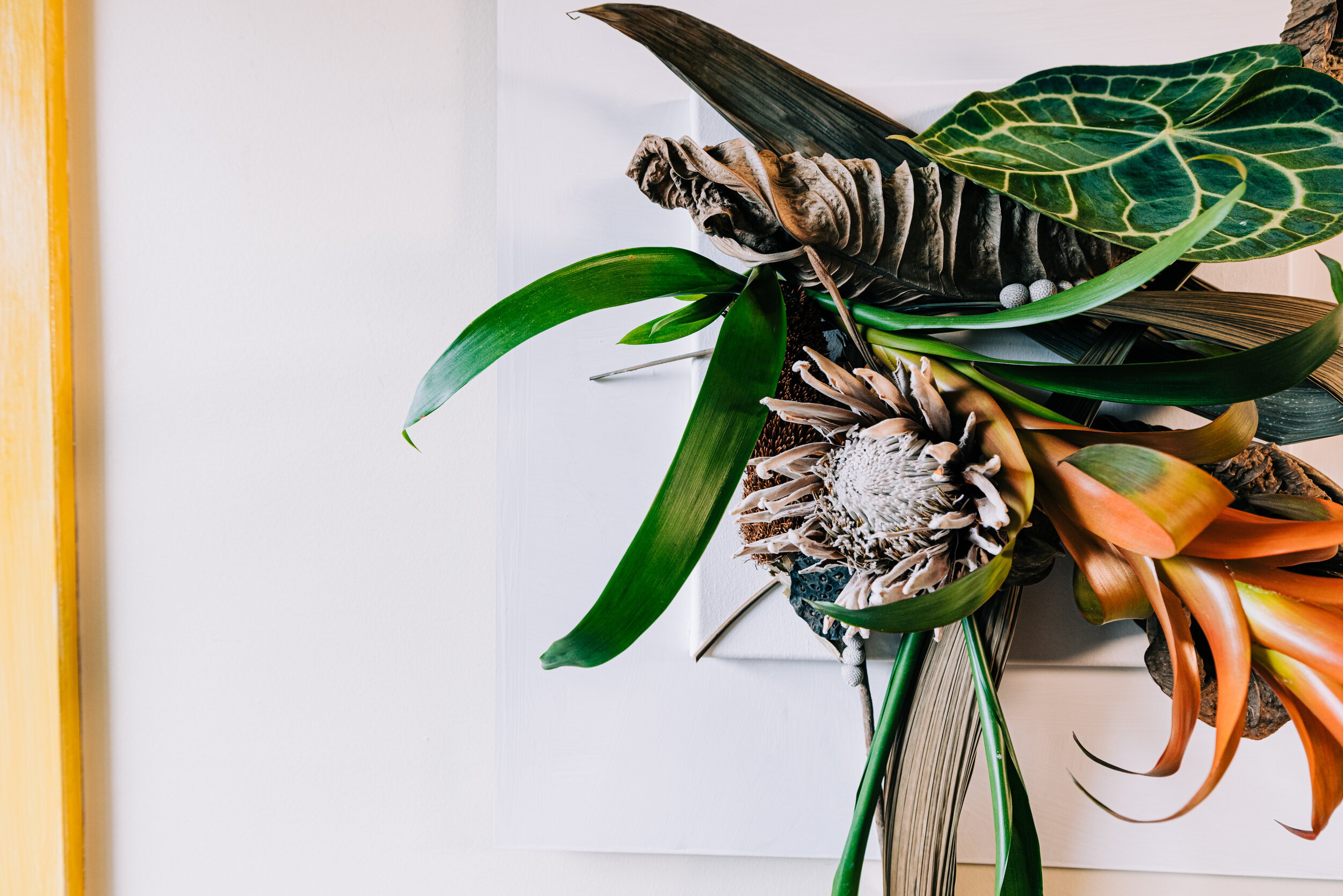 アート・デザイン・音楽 Blumenhaus: Art & Botanical Review Amazon.com: Blumenhaus Magazine Issue 2 (2022) Art & Botanical